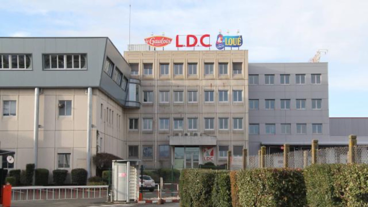 LDC : un profil séduisant