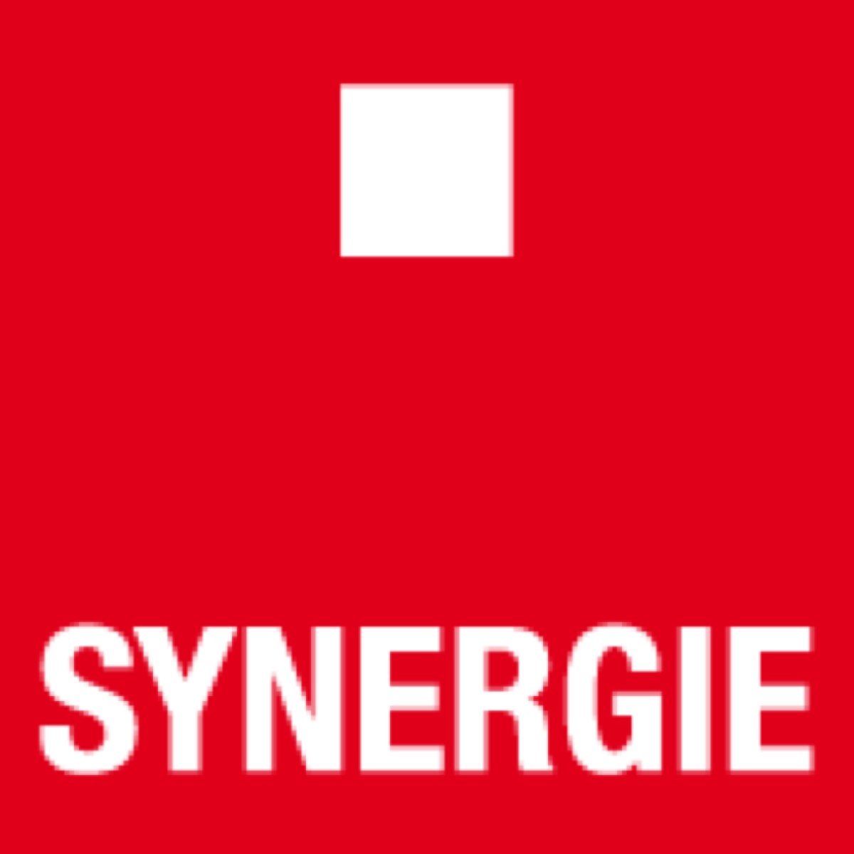 Achetez Synergie à 41,11 euros